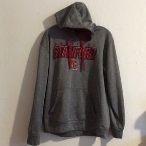 Champion Heathered Gray Stanford Hoodie